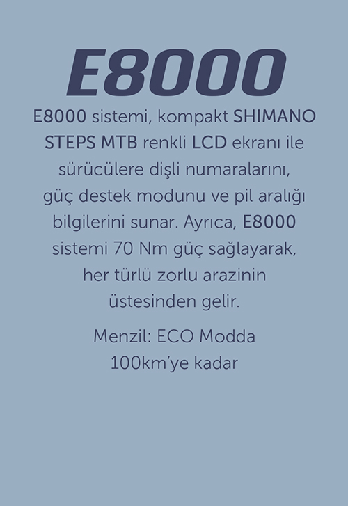 E8000