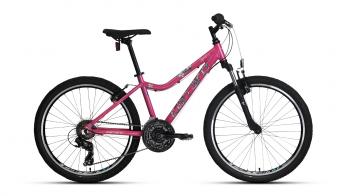 SPEED 242 24" 21-V VB Dağ Bisikleti