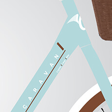 Turkuaz Beyaz Kahverengi