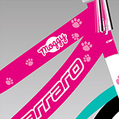 PEMBE-BEYAZ-TURKUAZ